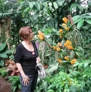 Meet your Posher, Carol